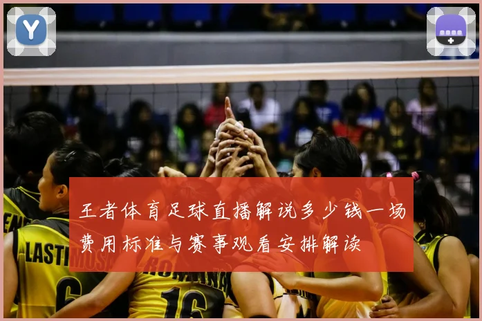 王者体育足球直播解说多少钱一场费用标准与赛事观看安排解读