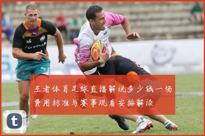 王者体育足球直播解说多少钱一场费用标准与赛事观看安排解读