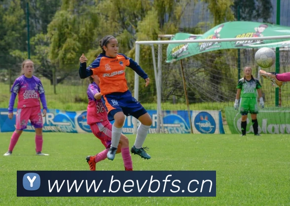 星空体育官网首页登录APP 封面图